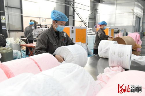 河北節(jié)后復(fù)工忙 新型膜材料制造產(chǎn)業(yè)力爭(zhēng)“開(kāi)門紅”